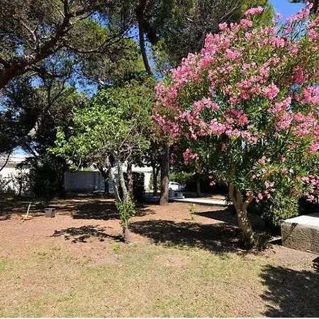 B&B Dimora Villa Orietta - Torre dell'Orso-2